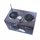 Parlante TERRAX PJT-DSP179 estilo Retro con lector Micro SD, USB y Radio FM