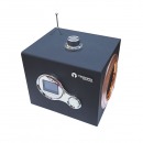 Parlante TERRAX PJT-DSP182 estilo Retro con lector Micro SD, USB y Radio FM
