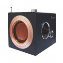 Parlante TERRAX PJT-DSP182 estilo Retro con lector Micro SD, USB y Radio FM